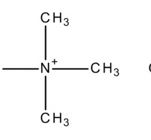 Tetramethylammonium hydroxide