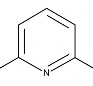 2,6-Dichloropyridine