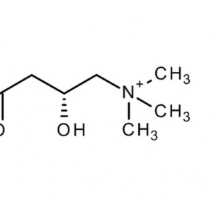 L-Carnitine