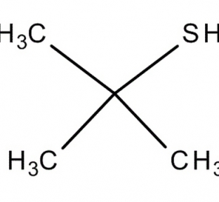 2-Methyl-2-propanethiol